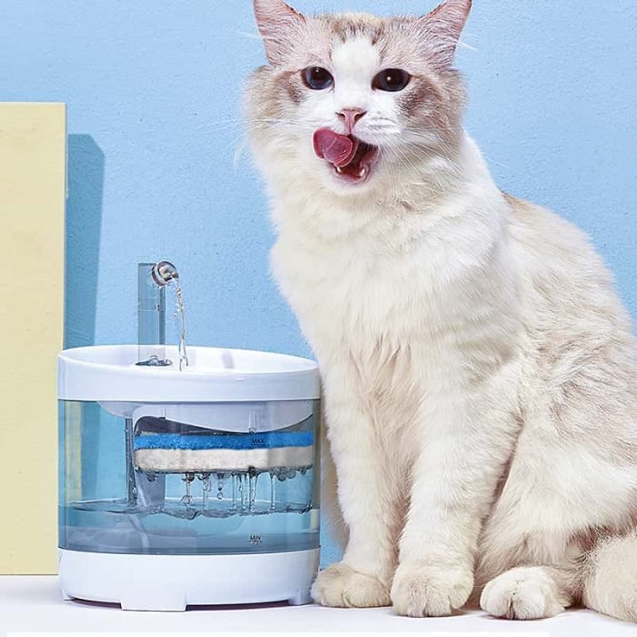 1.6L Automatic Pet Water Fountain