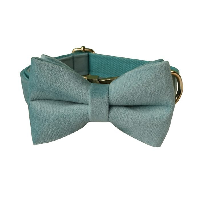 Blue Velvet Bowtie Dog Collar and Leash Set