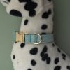 Blue Velvet Bowtie Dog Collar and Leash Set