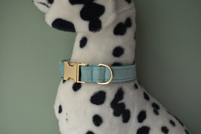 Blue Velvet Bowtie Dog Collar and Leash Set