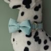 Blue Velvet Bowtie Dog Collar and Leash Set