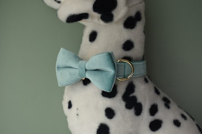 Blue Velvet Bowtie Dog Collar and Leash Set