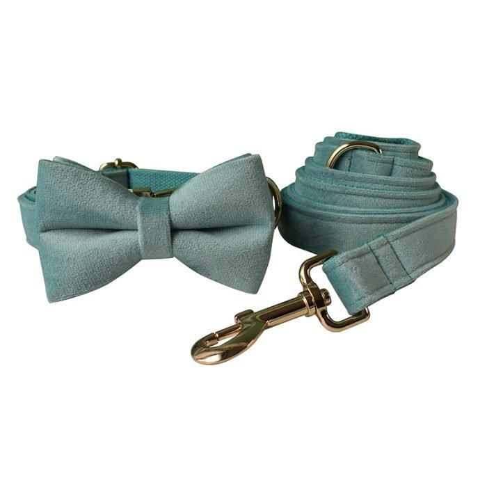 Blue Velvet Bowtie Dog Collar and Leash Set