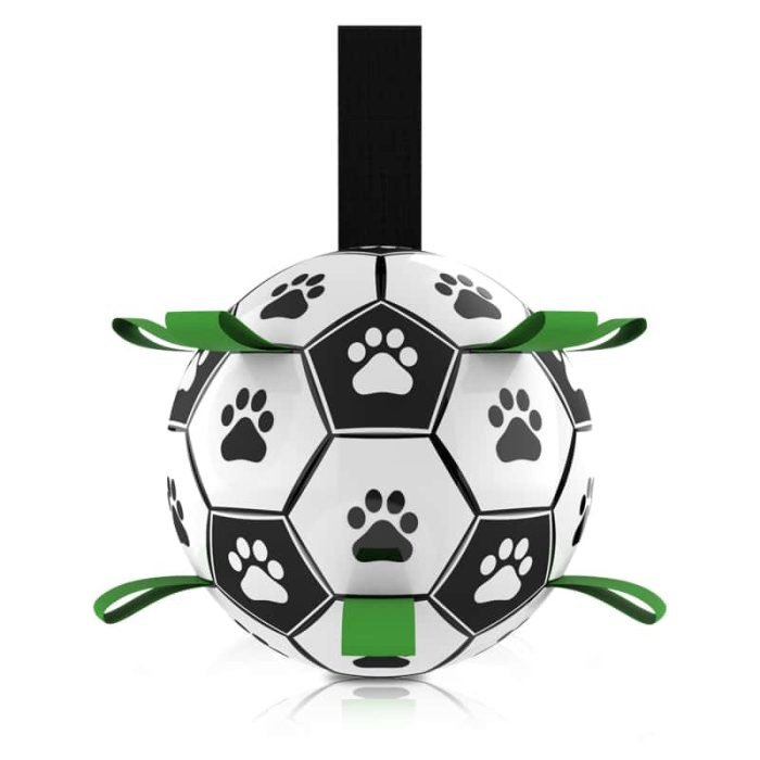 Dog Football Toy