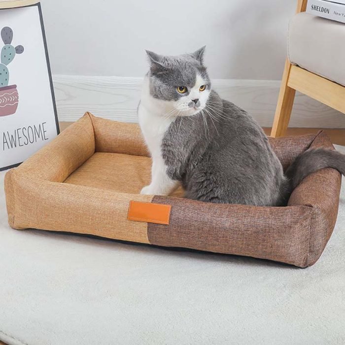Durable Sponge Filled Square Dog Bed -Blue