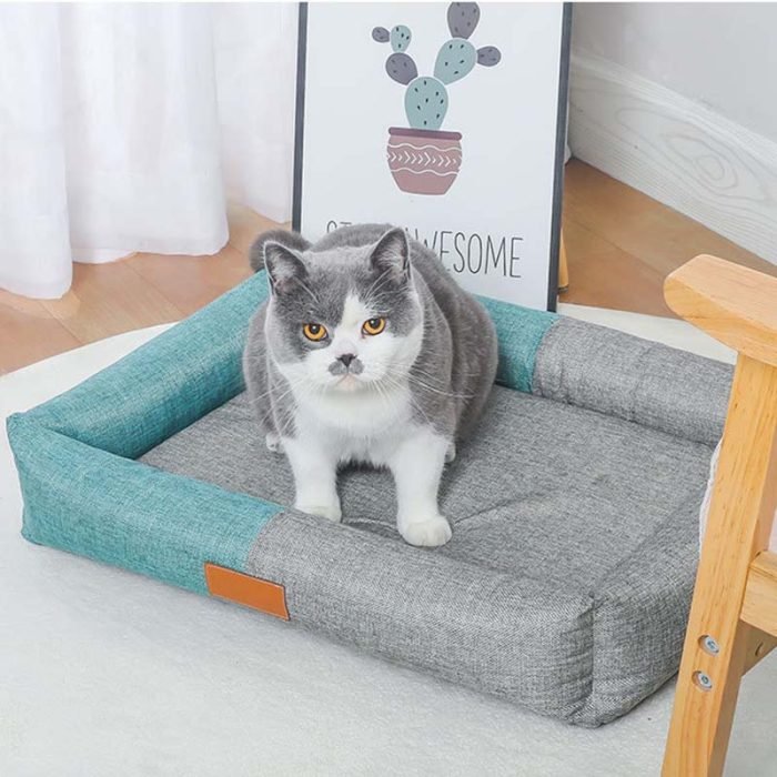 Durable Sponge Filled Square Dog Bed -Blue
