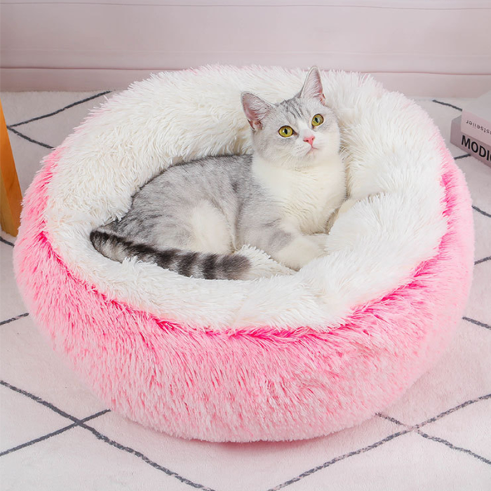 Gradient Color Donut Dog Bed-Green