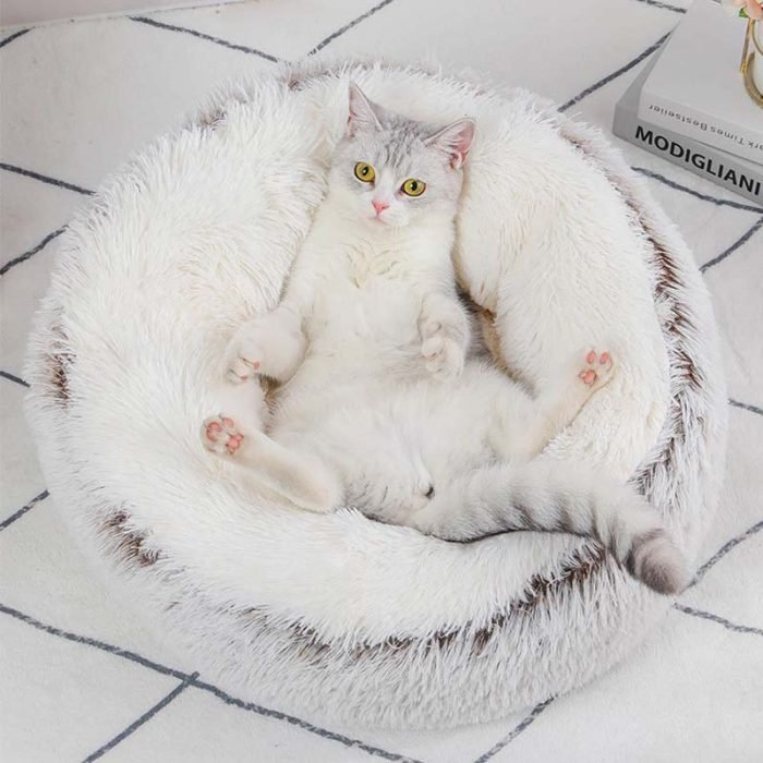 Gradient Color Donut Dog Bed-Green