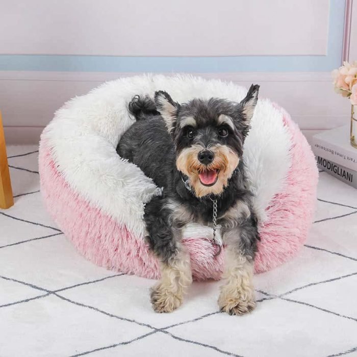 Gradient Color Donut Dog Bed-Green