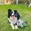 Dog Football Toy