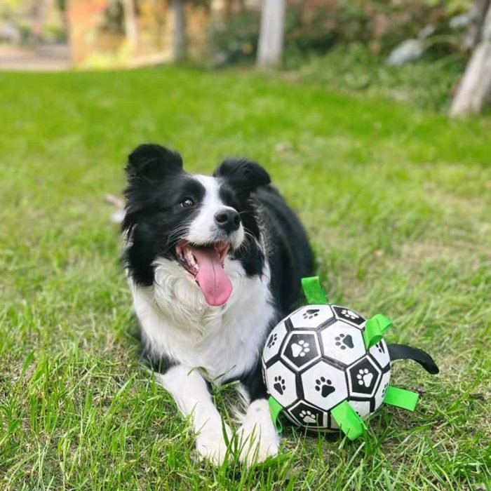 Dog Football Toy