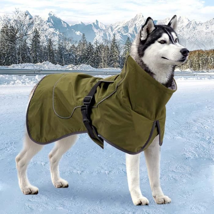 Winter Large Dog Jacket-Black