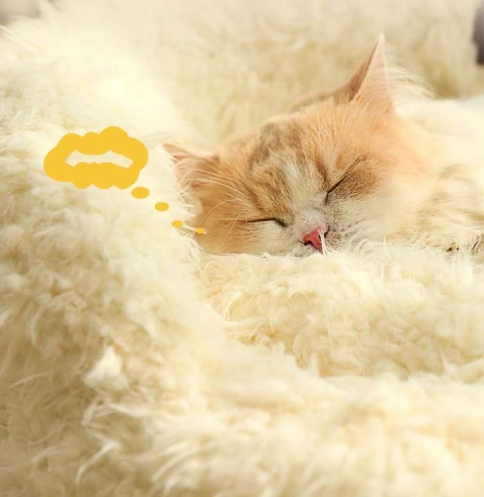 Alpaca Shape Pet Sofa