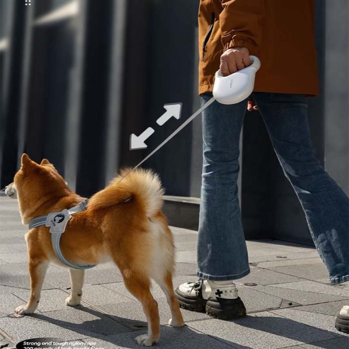 Cute 5M Long Dog Leash Traction Rope