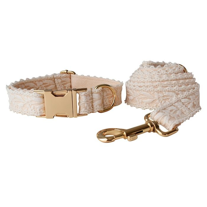 Lace Dog Collar and Leash Set