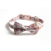 Floral Dog Collar-Orange