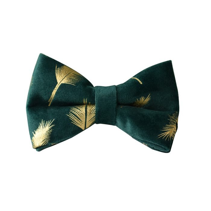 Green Feather Dog Collar and Leash Set