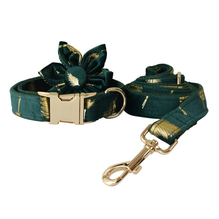 Green Feather Dog Collar and Leash Set