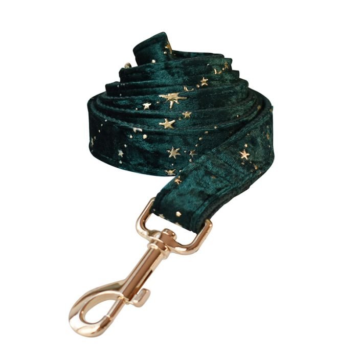 Green Velvet Dog Collar and Leash Set