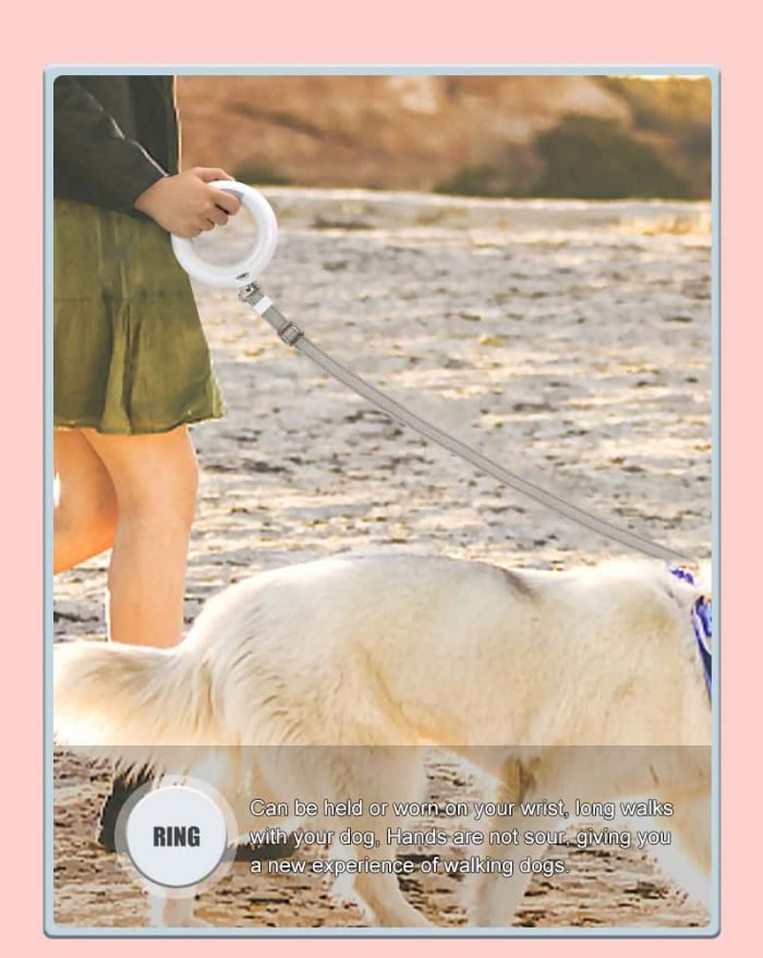 2m Long LED Dog Leash-Black