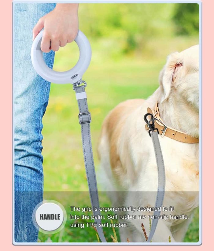 2m Long LED Dog Leash-Black