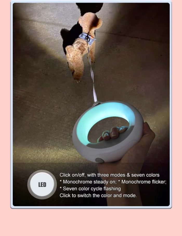 2m Long LED Dog Leash-Black