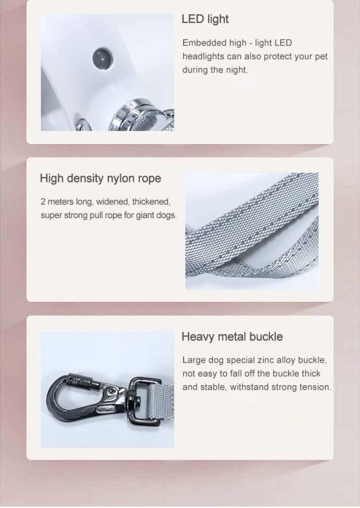 2m Long LED Dog Leash-Black