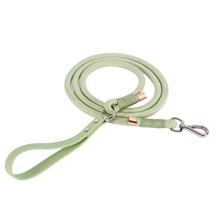 O1CN01hzxzEh1EuHftSG8XA__2212856340411-0-cib Leather and Nylon Dog Leash-Light Green