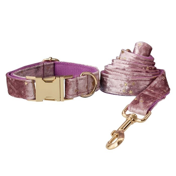 Pink Star Bowtie Dog Collar and Leash Set