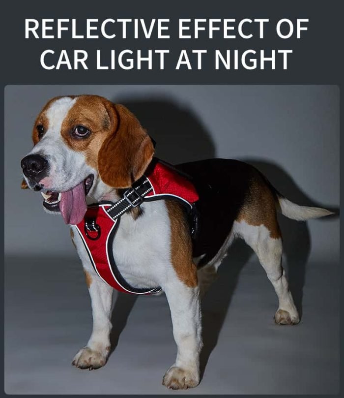 Reflective Dog Harness-Black