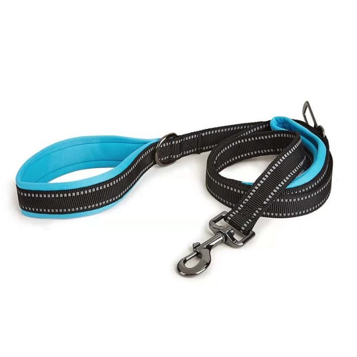 180cm Reflective Dog Leash-Blue
