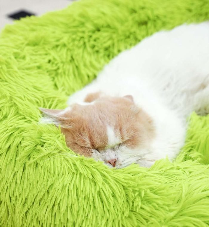 Plush Triangle Pet Bed-Grey