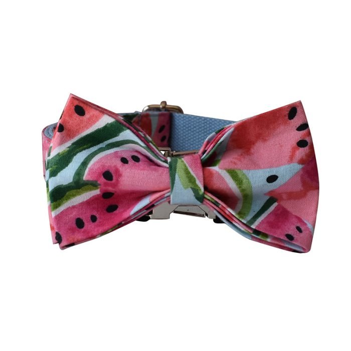 Watermelon Dog Collar and Leash Set