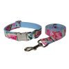 Watermelon Dog Collar and Leash Set