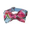 Watermelon Dog Collar and Leash Set