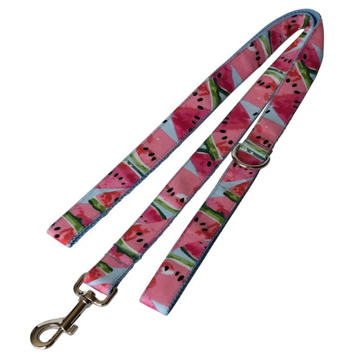Watermelon Dog Collar and Leash Set