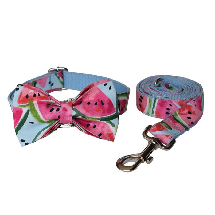 Watermelon Dog Collar and Leash Set