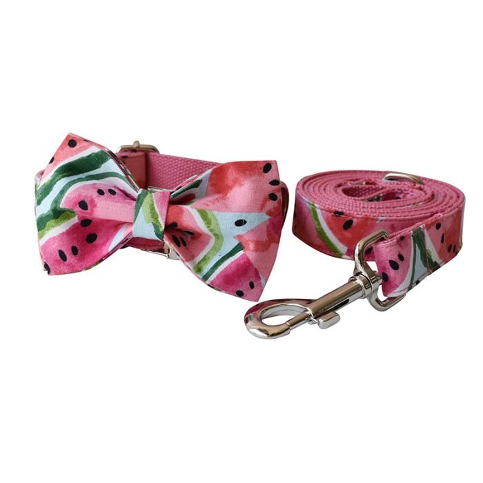 Watermelon Dog Collar and Leash Set