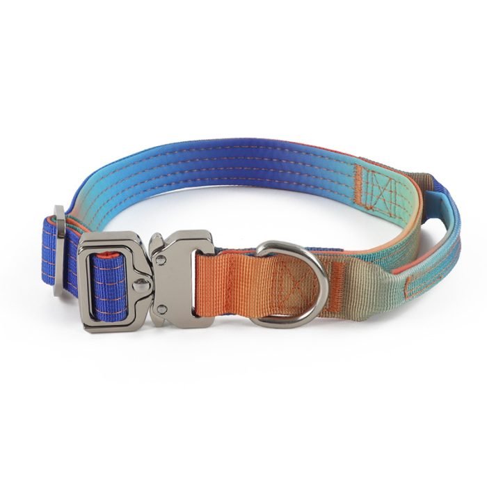 Gradient Color Dog Collar
