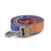 Gradient Color Dog Leash