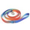 Gradient Color Dog Leash