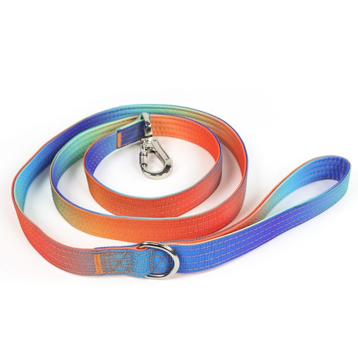 Gradient Color Dog Leash